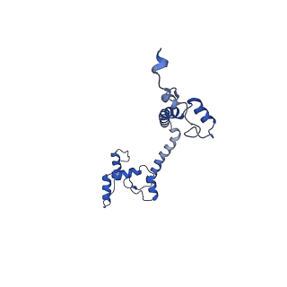 10860_6yny_K_v1-1
Cryo-EM structure of Tetrahymena thermophila mitochondrial ATP synthase - F1Fo composite dimer model