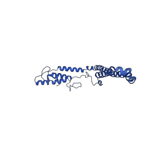 10860_6yny_M_v1-1
Cryo-EM structure of Tetrahymena thermophila mitochondrial ATP synthase - F1Fo composite dimer model