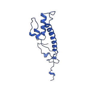 10860_6yny_N_v1-1
Cryo-EM structure of Tetrahymena thermophila mitochondrial ATP synthase - F1Fo composite dimer model