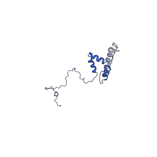 10860_6yny_S_v1-1
Cryo-EM structure of Tetrahymena thermophila mitochondrial ATP synthase - F1Fo composite dimer model