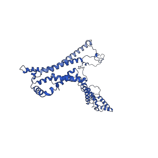 10860_6yny_a_v1-1
Cryo-EM structure of Tetrahymena thermophila mitochondrial ATP synthase - F1Fo composite dimer model