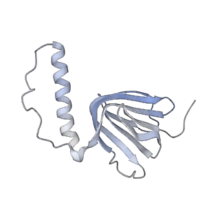 10860_6yny_d1_v1-1
Cryo-EM structure of Tetrahymena thermophila mitochondrial ATP synthase - F1Fo composite dimer model