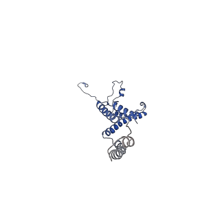 10860_6yny_d_v1-1
Cryo-EM structure of Tetrahymena thermophila mitochondrial ATP synthase - F1Fo composite dimer model