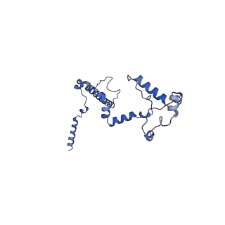 10860_6yny_f_v1-1
Cryo-EM structure of Tetrahymena thermophila mitochondrial ATP synthase - F1Fo composite dimer model