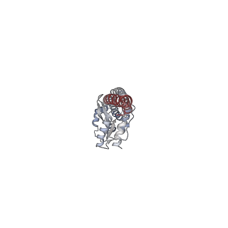 10860_6yny_g2_v1-1
Cryo-EM structure of Tetrahymena thermophila mitochondrial ATP synthase - F1Fo composite dimer model