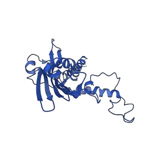 10860_6yny_g_v1-1
Cryo-EM structure of Tetrahymena thermophila mitochondrial ATP synthase - F1Fo composite dimer model
