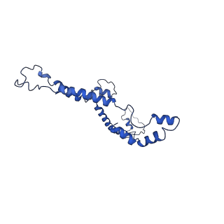 10860_6yny_i_v1-1
Cryo-EM structure of Tetrahymena thermophila mitochondrial ATP synthase - F1Fo composite dimer model