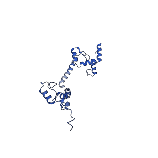 10860_6yny_k_v1-1
Cryo-EM structure of Tetrahymena thermophila mitochondrial ATP synthase - F1Fo composite dimer model
