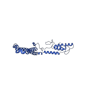10860_6yny_m_v1-1
Cryo-EM structure of Tetrahymena thermophila mitochondrial ATP synthase - F1Fo composite dimer model