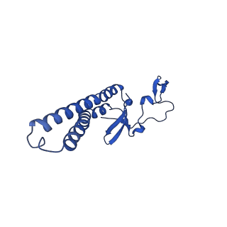 10860_6yny_p_v1-1
Cryo-EM structure of Tetrahymena thermophila mitochondrial ATP synthase - F1Fo composite dimer model