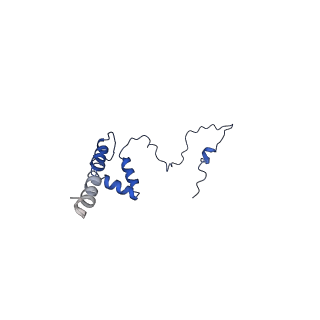 10860_6yny_s_v1-1
Cryo-EM structure of Tetrahymena thermophila mitochondrial ATP synthase - F1Fo composite dimer model