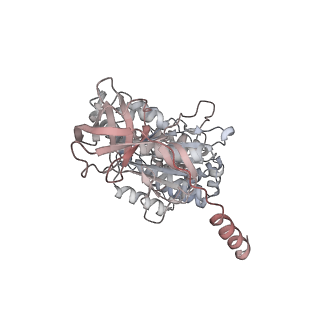10861_6ynz_A2_v1-1
Cryo-EM structure of Tetrahymena thermophila mitochondrial ATP synthase - F1Fo composite tetramer model