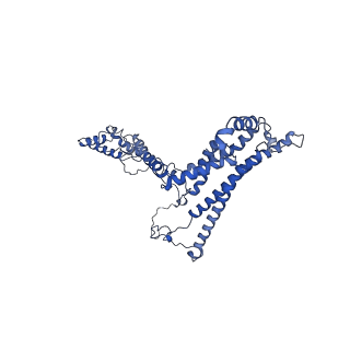 10861_6ynz_A3_v1-1
Cryo-EM structure of Tetrahymena thermophila mitochondrial ATP synthase - F1Fo composite tetramer model