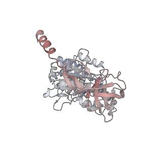 10861_6ynz_A4_v1-1
Cryo-EM structure of Tetrahymena thermophila mitochondrial ATP synthase - F1Fo composite tetramer model