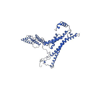 10861_6ynz_A_v1-1
Cryo-EM structure of Tetrahymena thermophila mitochondrial ATP synthase - F1Fo composite tetramer model