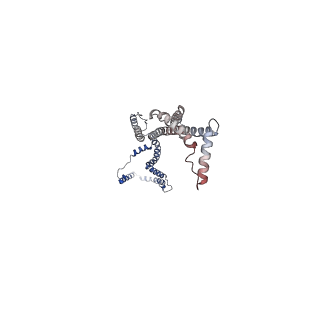 10861_6ynz_B3_v1-1
Cryo-EM structure of Tetrahymena thermophila mitochondrial ATP synthase - F1Fo composite tetramer model