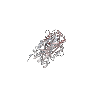 10861_6ynz_B4_v1-1
Cryo-EM structure of Tetrahymena thermophila mitochondrial ATP synthase - F1Fo composite tetramer model