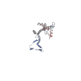 10861_6ynz_B_v1-1
Cryo-EM structure of Tetrahymena thermophila mitochondrial ATP synthase - F1Fo composite tetramer model