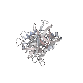 10861_6ynz_D1_v1-1
Cryo-EM structure of Tetrahymena thermophila mitochondrial ATP synthase - F1Fo composite tetramer model