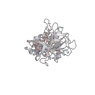 10861_6ynz_D2_v1-1
Cryo-EM structure of Tetrahymena thermophila mitochondrial ATP synthase - F1Fo composite tetramer model