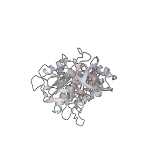 10861_6ynz_D4_v1-1
Cryo-EM structure of Tetrahymena thermophila mitochondrial ATP synthase - F1Fo composite tetramer model