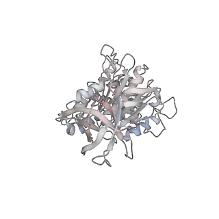 10861_6ynz_D5_v1-1
Cryo-EM structure of Tetrahymena thermophila mitochondrial ATP synthase - F1Fo composite tetramer model