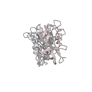 10861_6ynz_E4_v1-1
Cryo-EM structure of Tetrahymena thermophila mitochondrial ATP synthase - F1Fo composite tetramer model