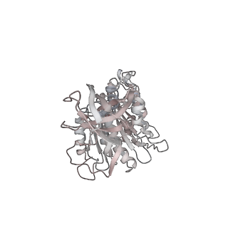 10861_6ynz_E5_v1-1
Cryo-EM structure of Tetrahymena thermophila mitochondrial ATP synthase - F1Fo composite tetramer model