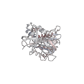 10861_6ynz_F1_v1-1
Cryo-EM structure of Tetrahymena thermophila mitochondrial ATP synthase - F1Fo composite tetramer model