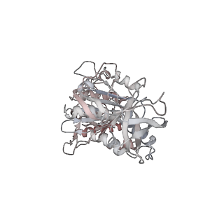 10861_6ynz_F5_v1-1
Cryo-EM structure of Tetrahymena thermophila mitochondrial ATP synthase - F1Fo composite tetramer model