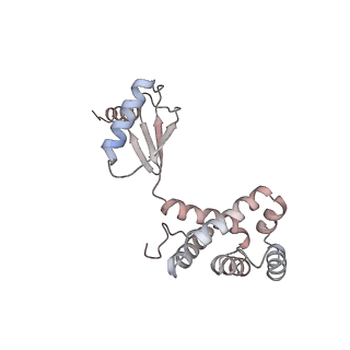10861_6ynz_G1_v1-1
Cryo-EM structure of Tetrahymena thermophila mitochondrial ATP synthase - F1Fo composite tetramer model