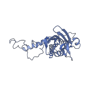 10861_6ynz_G3_v1-1
Cryo-EM structure of Tetrahymena thermophila mitochondrial ATP synthase - F1Fo composite tetramer model