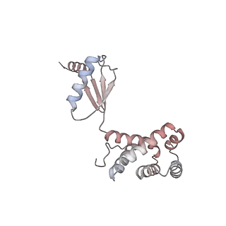 10861_6ynz_G4_v1-1
Cryo-EM structure of Tetrahymena thermophila mitochondrial ATP synthase - F1Fo composite tetramer model