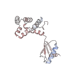 10861_6ynz_G5_v1-1
Cryo-EM structure of Tetrahymena thermophila mitochondrial ATP synthase - F1Fo composite tetramer model