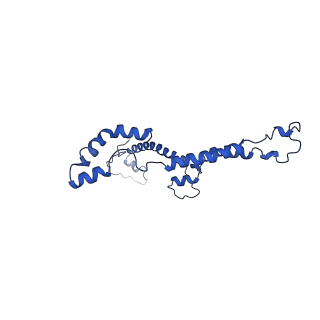 10861_6ynz_I_v1-1
Cryo-EM structure of Tetrahymena thermophila mitochondrial ATP synthase - F1Fo composite tetramer model