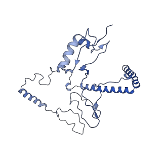 10861_6ynz_J3_v1-1
Cryo-EM structure of Tetrahymena thermophila mitochondrial ATP synthase - F1Fo composite tetramer model
