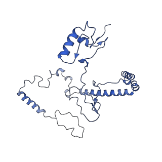 10861_6ynz_J_v1-1
Cryo-EM structure of Tetrahymena thermophila mitochondrial ATP synthase - F1Fo composite tetramer model