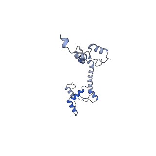 10861_6ynz_K3_v1-1
Cryo-EM structure of Tetrahymena thermophila mitochondrial ATP synthase - F1Fo composite tetramer model