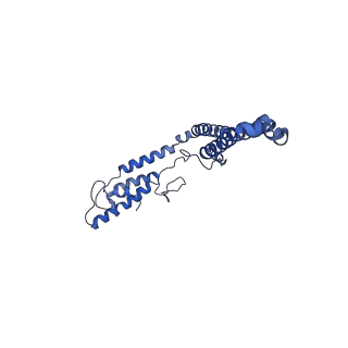 10861_6ynz_M3_v1-1
Cryo-EM structure of Tetrahymena thermophila mitochondrial ATP synthase - F1Fo composite tetramer model