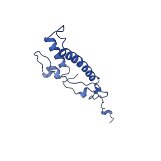10861_6ynz_N3_v1-1
Cryo-EM structure of Tetrahymena thermophila mitochondrial ATP synthase - F1Fo composite tetramer model