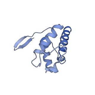 10861_6ynz_Q_v1-1
Cryo-EM structure of Tetrahymena thermophila mitochondrial ATP synthase - F1Fo composite tetramer model