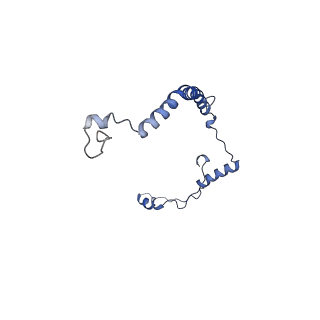 10861_6ynz_R3_v1-1
Cryo-EM structure of Tetrahymena thermophila mitochondrial ATP synthase - F1Fo composite tetramer model