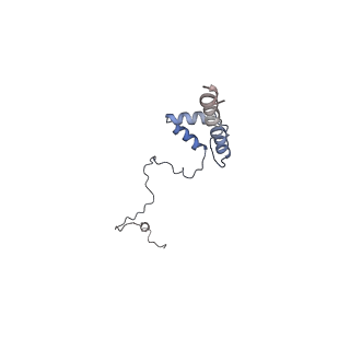 10861_6ynz_S3_v1-1
Cryo-EM structure of Tetrahymena thermophila mitochondrial ATP synthase - F1Fo composite tetramer model