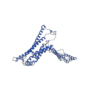 10861_6ynz_a_v1-1
Cryo-EM structure of Tetrahymena thermophila mitochondrial ATP synthase - F1Fo composite tetramer model