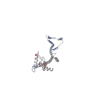 10861_6ynz_b3_v1-1
Cryo-EM structure of Tetrahymena thermophila mitochondrial ATP synthase - F1Fo composite tetramer model