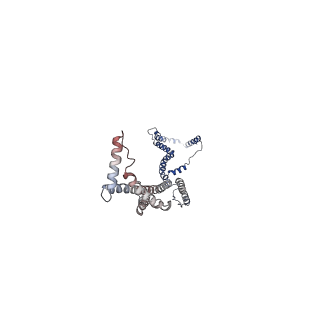 10861_6ynz_b_v1-1
Cryo-EM structure of Tetrahymena thermophila mitochondrial ATP synthase - F1Fo composite tetramer model