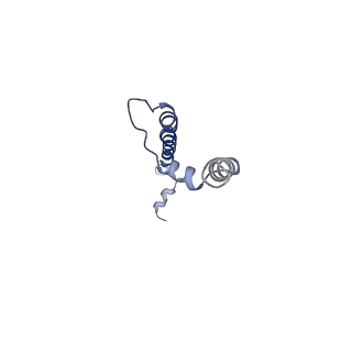 10861_6ynz_c_v1-1
Cryo-EM structure of Tetrahymena thermophila mitochondrial ATP synthase - F1Fo composite tetramer model