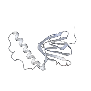 10861_6ynz_d1_v1-1
Cryo-EM structure of Tetrahymena thermophila mitochondrial ATP synthase - F1Fo composite tetramer model
