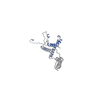 10861_6ynz_d3_v1-1
Cryo-EM structure of Tetrahymena thermophila mitochondrial ATP synthase - F1Fo composite tetramer model