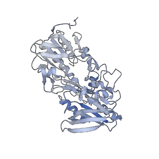 10861_6ynz_e_v1-1
Cryo-EM structure of Tetrahymena thermophila mitochondrial ATP synthase - F1Fo composite tetramer model